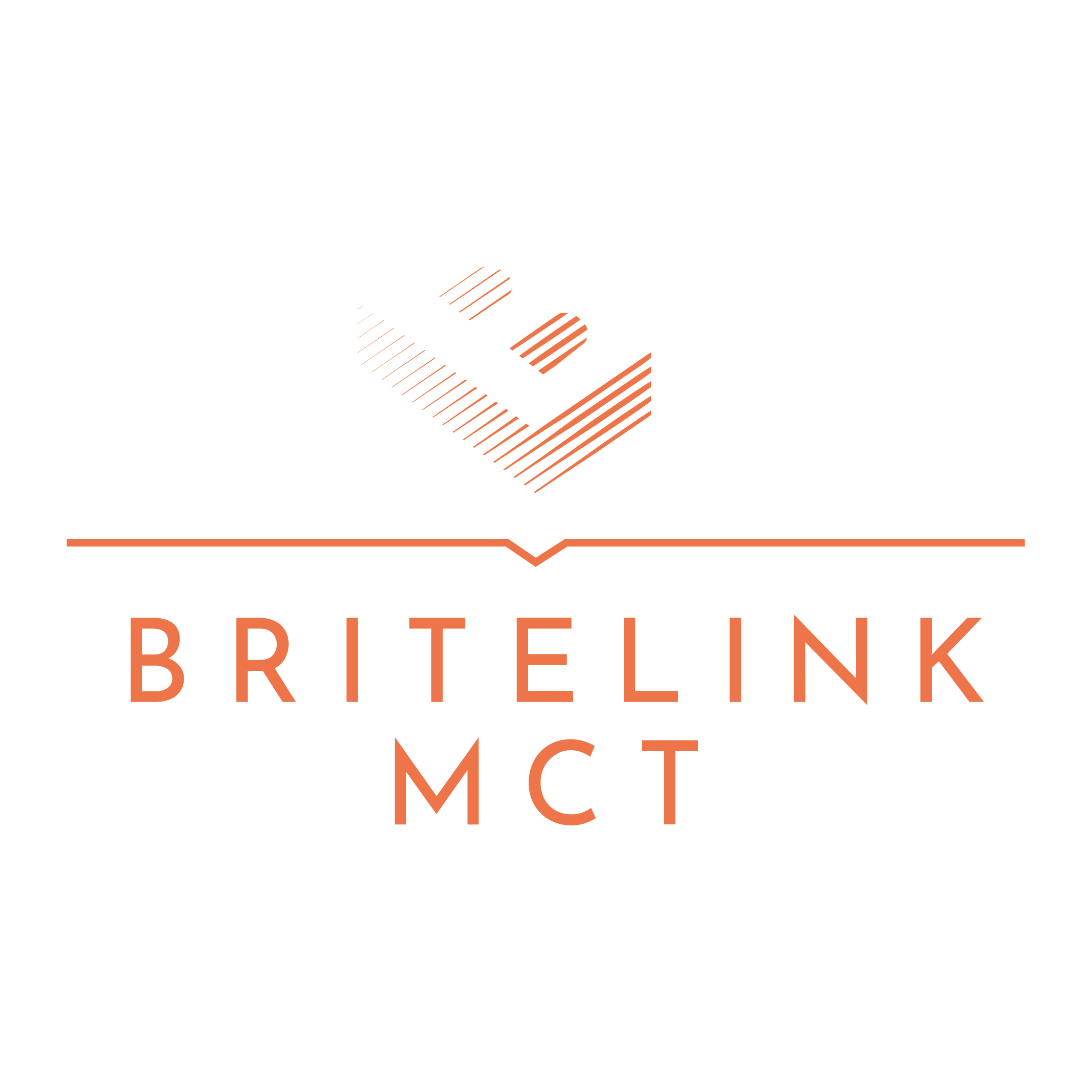 vintage drakensberg britelink mct company logo